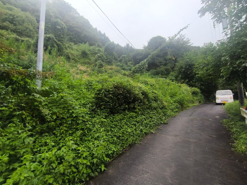 Day1:刈り取り前