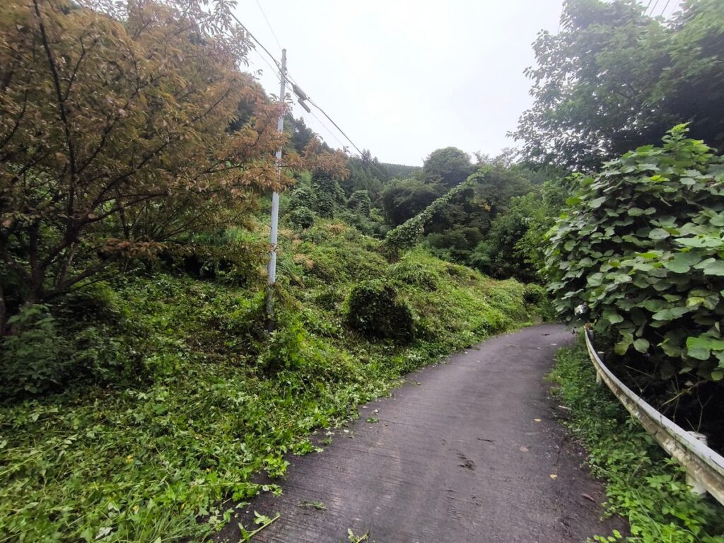 Day1:刈り取り後