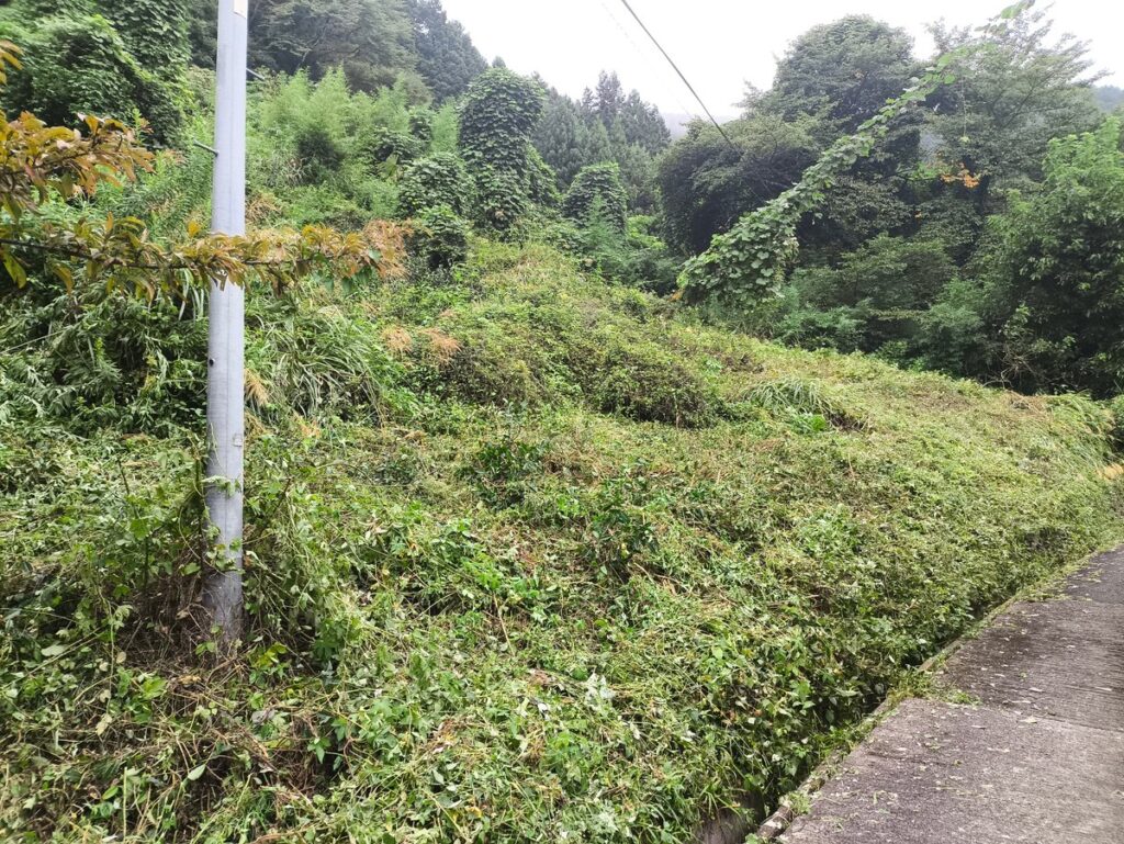 Day2:少しずつ内部へ刈り進める