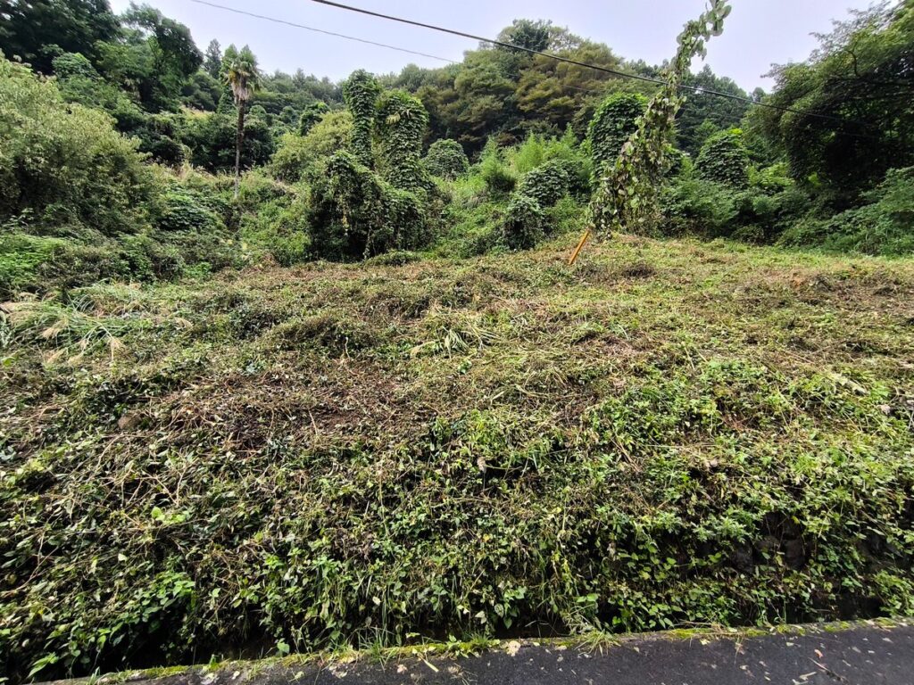 作業後の比較写真
